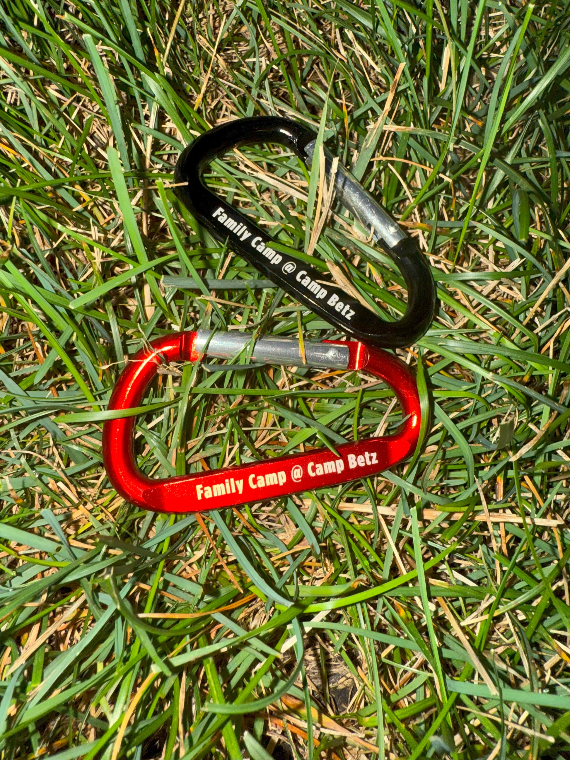 Two carabiners, one red and one black, on grass with 'Family Camp @ Camp Beltz' text.
